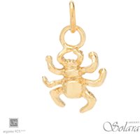 Charm Solara in Argento 4934 SOLARA - 4934 SOLARA